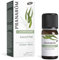 Pranarôm - La Diffusione - Eucaly'Pur - Oli Essenziali per diffusione - Eucalipto e Menta - Note Purificanti - Idea Regalo - Feste di Natale - 30ml