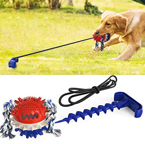 FTRONGRT Hundespielzeug mit Saugnapf, Hundezahnbürste Kauspielzeug, Ball Leckerli-Spender für Hunde Welpen, Zähne Knirschen, Dog Chew Toy, Pet Toy.Blau
