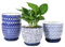 Selamica Keramik Blumentöpfe 5,6 Zoll Blumentöpfe für Zimmerpflanzen Pflanzgefäße mit Drainageloch und Untersetzer Gartentöpfe für Sukkulenten Orchidee Home Decor 4er Set Vintage Blau