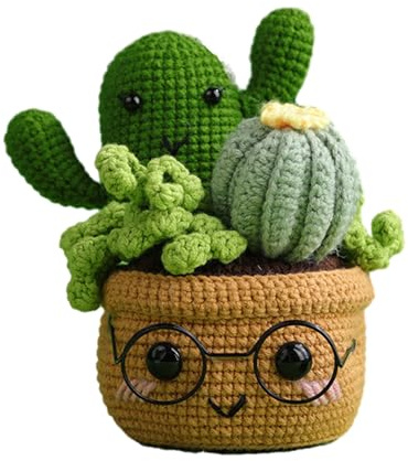 Kit de crochet pour débutants - Jolis kits de crochet pour plantes - Avec crochets et instructions en anglais (français non garanti)