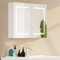 EROMMY 600 * 800mm LED Bathroom Mirror Cabinet with shaver socket, 3 Colors Dimmable Illuminated Bathroom Mirror Cabinet with USBs & Demister & 3 Colour Light & Defogging & Touch Sensor & IP44