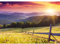 Runa Art Fototapete Provence Landschaft Natur 352 x 250 cm Vlies Tapeten XXL Moderne Wandtapete Wohnzimmer Schlafzimmer Grün Violett 9022011c