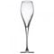 Monte Carlo Champagne Flutes 8oz / 230ml (Pack of 6)