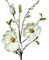 DPI Magnolienzweig Creme 90cm Dekopflanze Kunstblume Blumendeko Trockenfloristik künstliche Magnolie
