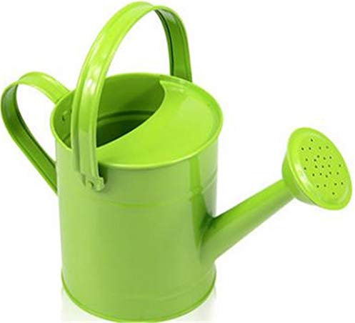 FRYH Regadera De Metal Verde con Asa De Transporte Móvil Colorida para Pequeños Juguetes De Ayuda Al Jardín, Green
