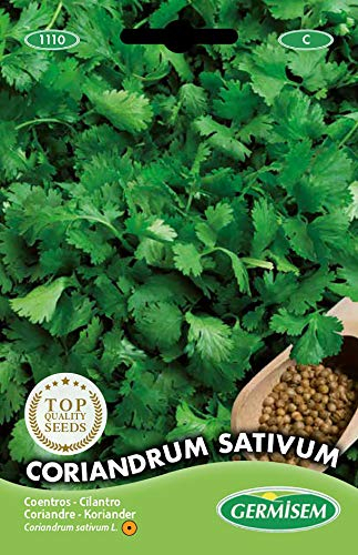 Germisem Coriandrum Sativum Semi di Coriandolo 10 g