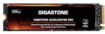 Gigastone HPC Computing M.2 SSD 500GB PCIe 4.0 NVMe SSD 5,000MB/s Host Speicherpuffer Cache beschleunigt Geschwindigkeitskodierung Big Data Intensive Arbeitslasten internes Solid-State-Laufwerk