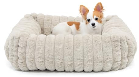 Wallace & Jones | Hundebett Mary - Sand | S | ca. 51 x 46 x 15 cm | weicher Schlafplatz, Breitcord Optik, Hundekörbchen