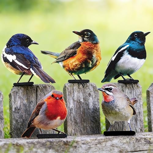 5 Stück Gartendeko Bemalte Vogel, Bunt Bemalte 2D Gartenkunst für draußen wetterfest, Vögel Gartenstecker Deko, Metall Vogel Garten Deko für Gartendekoration Holz Zaunfiguren Frühling Bäume Deko