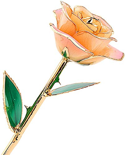 ZJchao 24K Gold Rose, echte rose vergoldet, gold rose 24 karat rose silber blumen valentinstag Love Forever 24k vergoldet Echt Rose, der Liebe