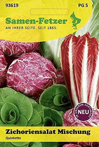 Zichoriensalat Zuckerhut Mischung Quintetto (Zichoriensalatsamen)