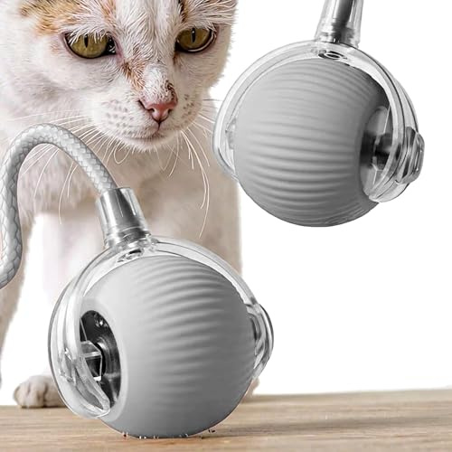 Qashu interactive cat toy with Automatic Rechargeable Battery - cat toys 3 Speed Modes, LED Light, and Durable Design (GREY 1pcs)