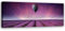 Feeby Vlies Leinwandbild XXL Lavendel Abend Provence 120x40 cm Wandbild Kunst Bilder Schlafzimmer Deko Wohnzimmer Natur Luftballon Himmel Violett