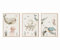 MeinBaby123® Unterwasserwelt Bilder Kinderzimmer | 3er Set DIN A4 | Wal, Qualle, Schildkröte | Kinderzimmer Deko Meer | Kinderzimmer Bilder | Geschenk zur Geburt (Unterwasserwelt V7)