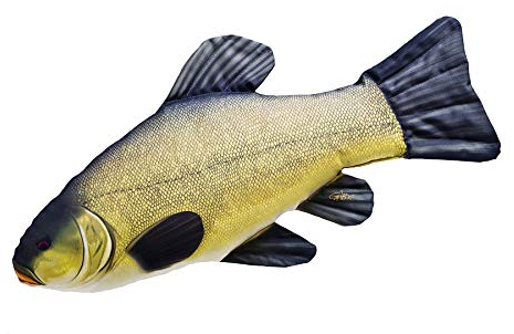 GABY Fish Pillows Schleie Kissen, Mehrfarbig, 1 Stück (1er Pack)