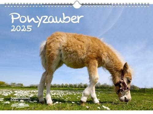 Ponyzauber DIN A3 Kalender für 2025 Pony und Fohlen - Seelenzauber