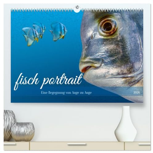 fisch portrait (hochwertiger Premium Wandkalender 2026 DIN A2 quer), Kunstdruck in Hochglanz: Erleben Sie die Schönheit und Vielfalt der ... Fische verzaubern. (CALVENDO Tiere)