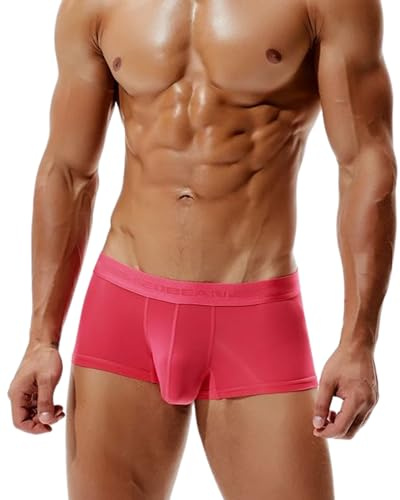 BEEMEN Low Rise Herren Eisseide Mikrofaser Unterwäsche Männer Slip Boxerbrief Trunk Brief aus atmungsaktiver Nylon Weiche Dünne Kühle Unterhose