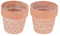 UPKOCH 2 Pièces Pots de Fleurs Terre Cuite Lot de Jardinières Sculptées pour Plantes pour Intérieur et Bureau