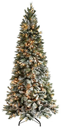 WeRChristmas Pre-Lit Slim Snow Flocked Spruce Christmas Tree with 500 Chasing Warm LED Lights, 8 feet/2.4m