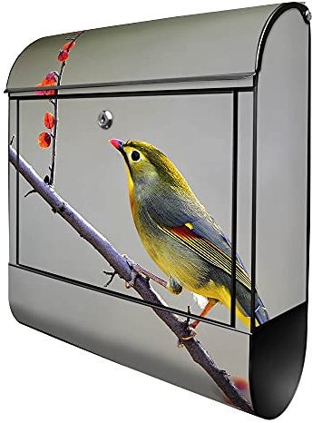 banjado® Design Briefkasten mit Motiv Herbst Vogel 39x47x14cm & 2 Schlüssel - Briefkasten Stahl schwarz mit Zeitungsfach pulverbeschichtet - Postkasten A4 Einwurf inkl. Montagematerial