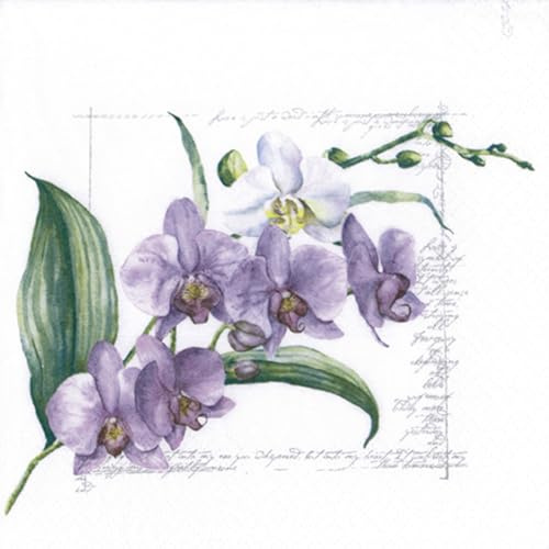Servietten Papier 33x33cm 3-lagig 20 Stück - hochwertig & nachhaltig - Einweg Papierservietten für Feier Hochzeit Geburtstag Tischdeko Frühling Sommer Party - Orchidee Blumen Vintage Stil Violett