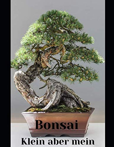 Bonsai klein aber mein Geschenkidee für Bonsai freunde: Bonsai Notizbuch mit Punktraster, ideal für Notizen Zeichnungen und Ideen für Pflege und beschnitt des Bonsai Bäumchen mit 100 Seiten