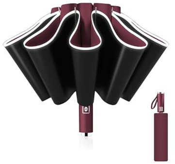 NBVGFGDF Auto Regenschirm, für BMW X2 2018-2023 Kompakter Regenschirm sturmfest Vollautomatischer Faltbarer Auto Regenschirm UV-Schutz Sonnenschirm,C