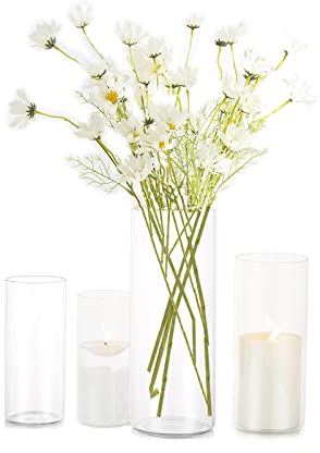 Zylindervase Bulk Klar Eylkoi - 4 StüCk/Set Kerzenhalter Glas Set Glaszylinder Mehrere GrößEn,Kleine Vasen füR Tischdeko, Vase füR Pampasgras Groß Tischdeko FüR Die Hochzeit,10+15+20+25cm(Hoch)