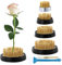 QWORK® 4 Stück Blumenigel, Blumensteckigel, Runder Blumenhalter aus Kupfer mit Edelstahlbasis, für Floristen, Büros und Teestuben