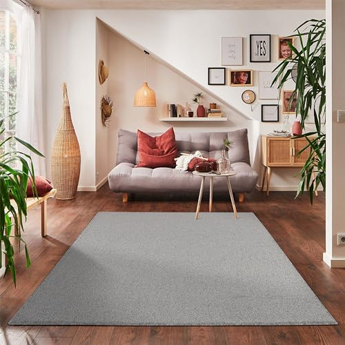 Carpettex Teppich Wohnzimmerteppich, kurz, modern, Farbe und Größe wählbar, hellgrau, 140 x 200 cm