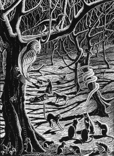 1000 Pcs Puzzles, M C Eschers Art Geometrys, Abstract Art Posters Jigsaw, Gedächtnisspiele Für Erwachsene, Stressabbau-Spielzeug Für Die Ganze Familie Wy270Zq