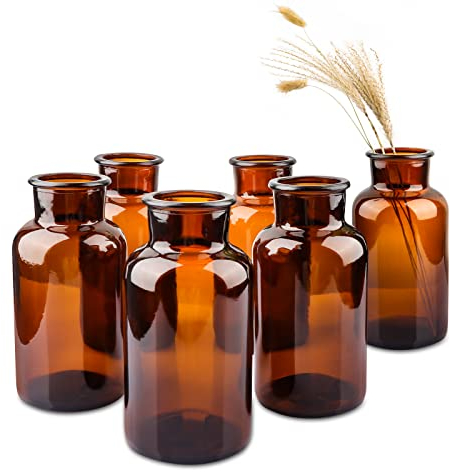 PINIWON Set of 6 Amber Bud Vases, Small Glass Vases, Vintage Medicine Bottles Apothecary Jars with Brush, Flower Vases for Home Decor, Wedding Centerpieces