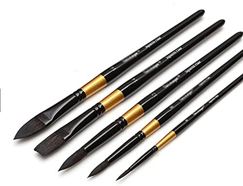 ZHCHAO Watercolor Paint Brushes Set Squirrel Hair Professional Artist Painting Mop for Gouache Watercolors Inks, 5Pcs