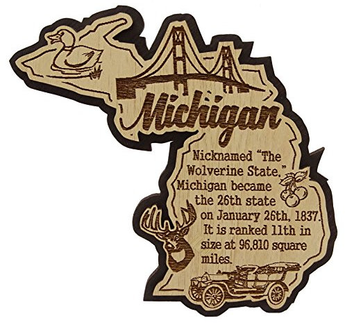 USA Michigan State Map Wooden Magnet Souvenir Fridge Magnet Gift