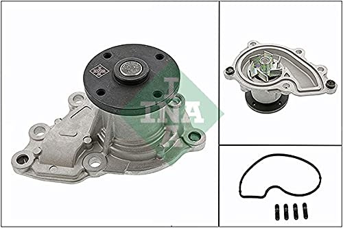 INA 538 0696 10 Coolant Motor