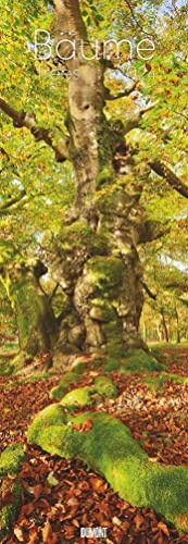 Bäume 2024 - Foto-Kalender - Wand-Kalender - King-Size - 34x98: Trees