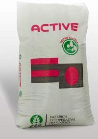 FCP CEREA CONCIME Alto Titolo in FOSFORO Sacco da 25 kg