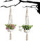 2 pièce Suspension Corde Plante Macramé, corde de coton panier de fleurs en macramé suspendu brindille planteur de suspension de fleurs pour décoration de la maison, jardinage de bureau, 4 jambes