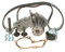 BOSCH 1 987 946 953 Kit cinghia distribuzione pompa acqua N° denti: 117 22 mm