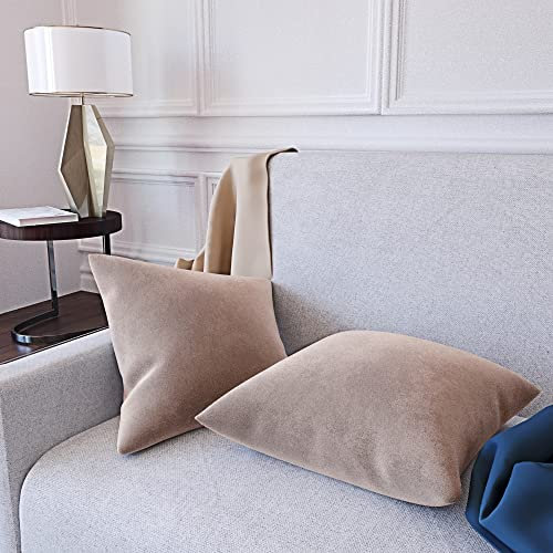 Set di 2 Federe Per Cuscini In Velluto Morbido e Resistente Copricuscini Per Divano Poltrona Soggiorno Arredo Arredamento Casa Design Moderno Elegante Cerniera Invisibile (40 x 40 cm, Beige)
