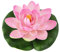 WOURRD Lotus artificiels flottants en mousse de couleurs mélangées pour décoration d'étang et de jardin