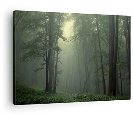 Bilder auf Leinwand Wald Nebel Baum Leinwandbild mit Rahmen 70x50cm Wandbilder Dekoration Wohnzimmer Schlafzimmer Küche Deko Klein Wanddeko Bild Wand Kunstdruck Art Wall Decor Canvas AA70x50-3543