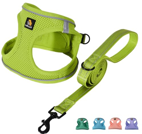 BELLA & PAL Hundegeschirr Kleine Hunde mit Leine, Step-in Geschirr aus Air Mesh, Anti Zug Reflektierend Atmungsaktiv Brustgeschirr, Welpengeschirr für Kleine Hunde, Katzengeschirr, Avocadogrün, S