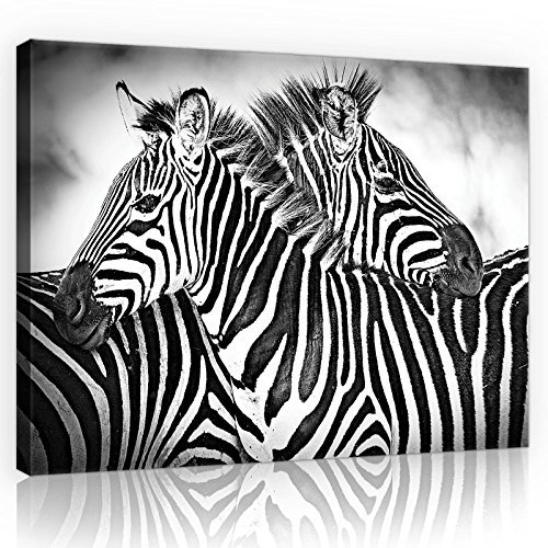 Forwall Bilder Canvas Zebra Weiss-Schwarz O1 (100cm. x 75cm.) Leinwandbilder Wandbild AMFPP10159O1