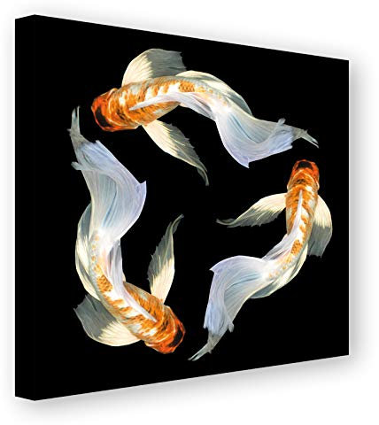 PICSonPAPER Leinwandbild Kois, 50 cm x 50 cm, Dekoration, Kunstdruck, Wandbild, Leinwand Koi, Fisch, Fische, Karpfen, Tiere