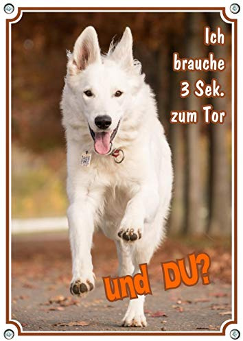 Petsigns wunderschönes Warnschild - Weißer Schweizer Schäferhund - stabiles Hundeschild - uv-beständig, DIN A4