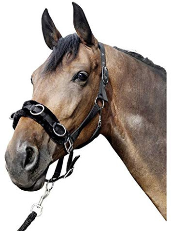 Hkm Hkm 4057052241727 Nylon Cavity Bridle With Plush Padding9100 Blackshetty