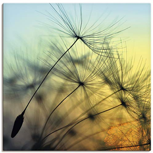 ARTLAND Wanddeko Leinwand Bilder Wandbild 70x70 cm Pusteblume Botanik Blumen Blüten Sonnenuntergang Modern T5XL