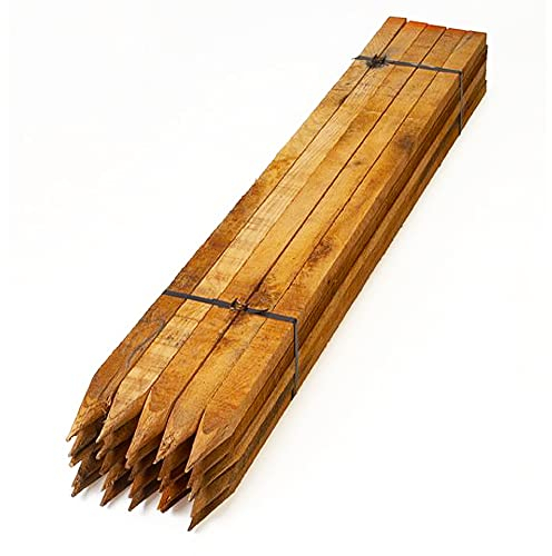 Homatz Wooden Garden Stakes 10 Pack, 1.8m/6ft Long Square Wooden Stakes - Pressure Treated Timber for Plant & Tree Support - 3.2cm Thick Pegs